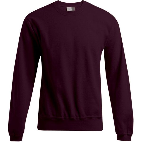 Promodoro | 2199 Pánská mikina