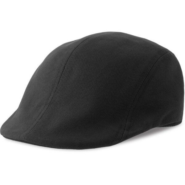 Atlantis Swing-S Bekovka